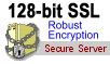 128 bit ssl